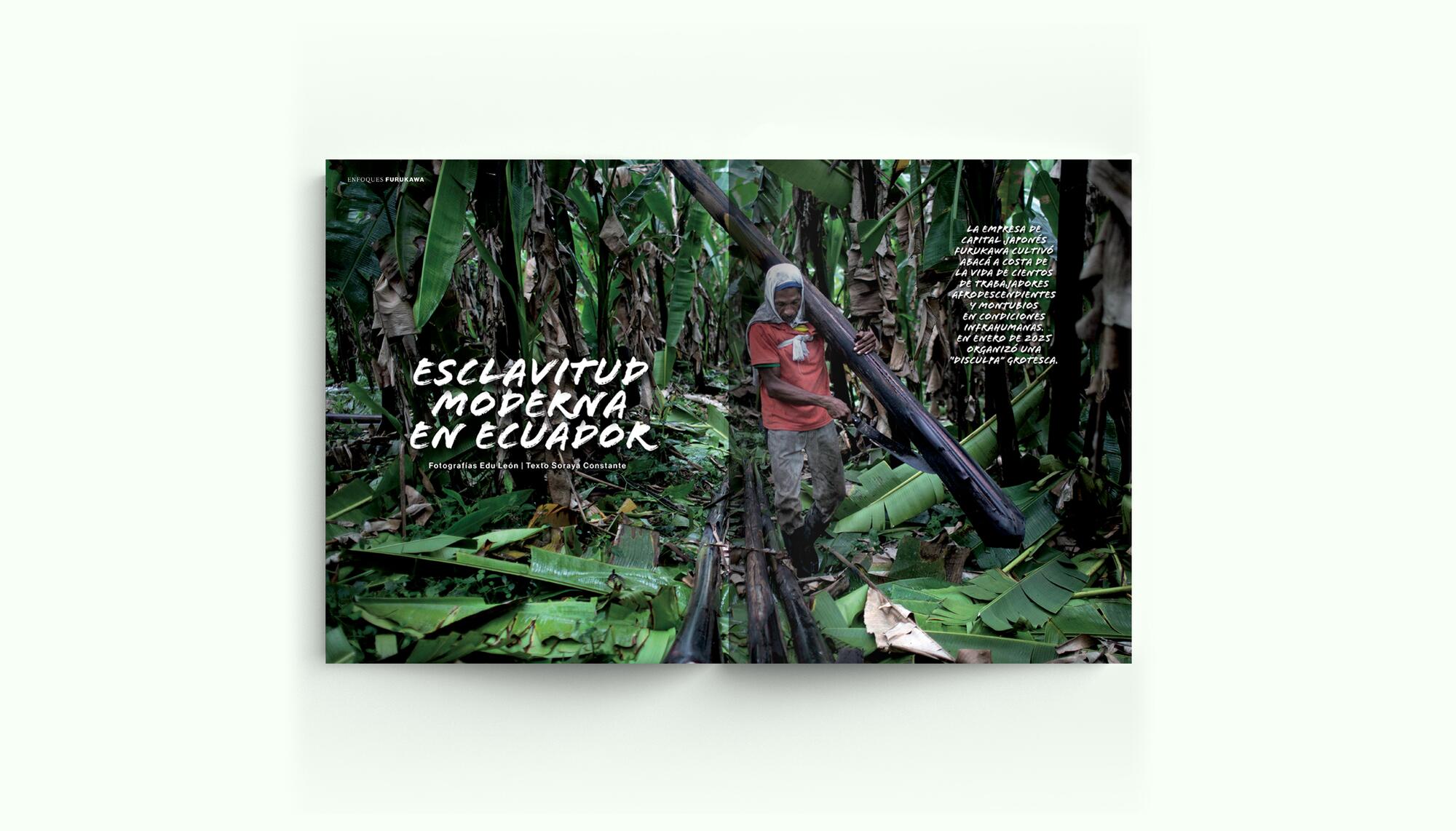 Revista 79_3
